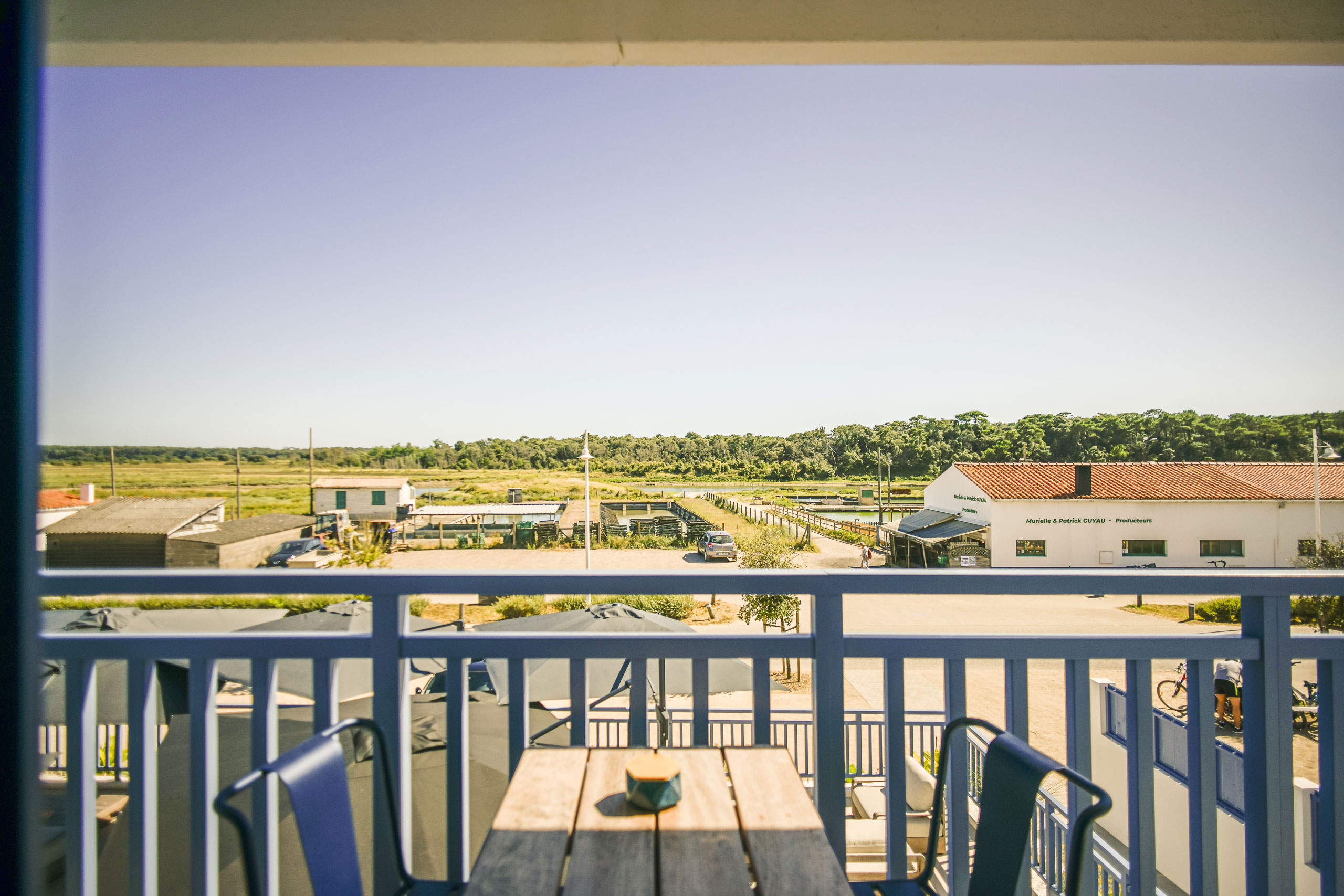domaine-les-clayeres-vue-chambre-vendee domaine-les-clayeres-vue-chambre-vendee